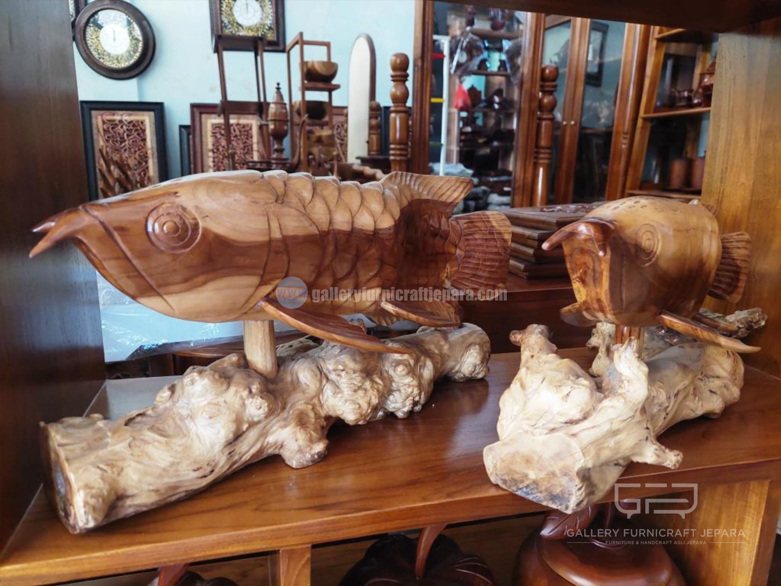 ikan arwana jati kopi 50x20cm @175 02