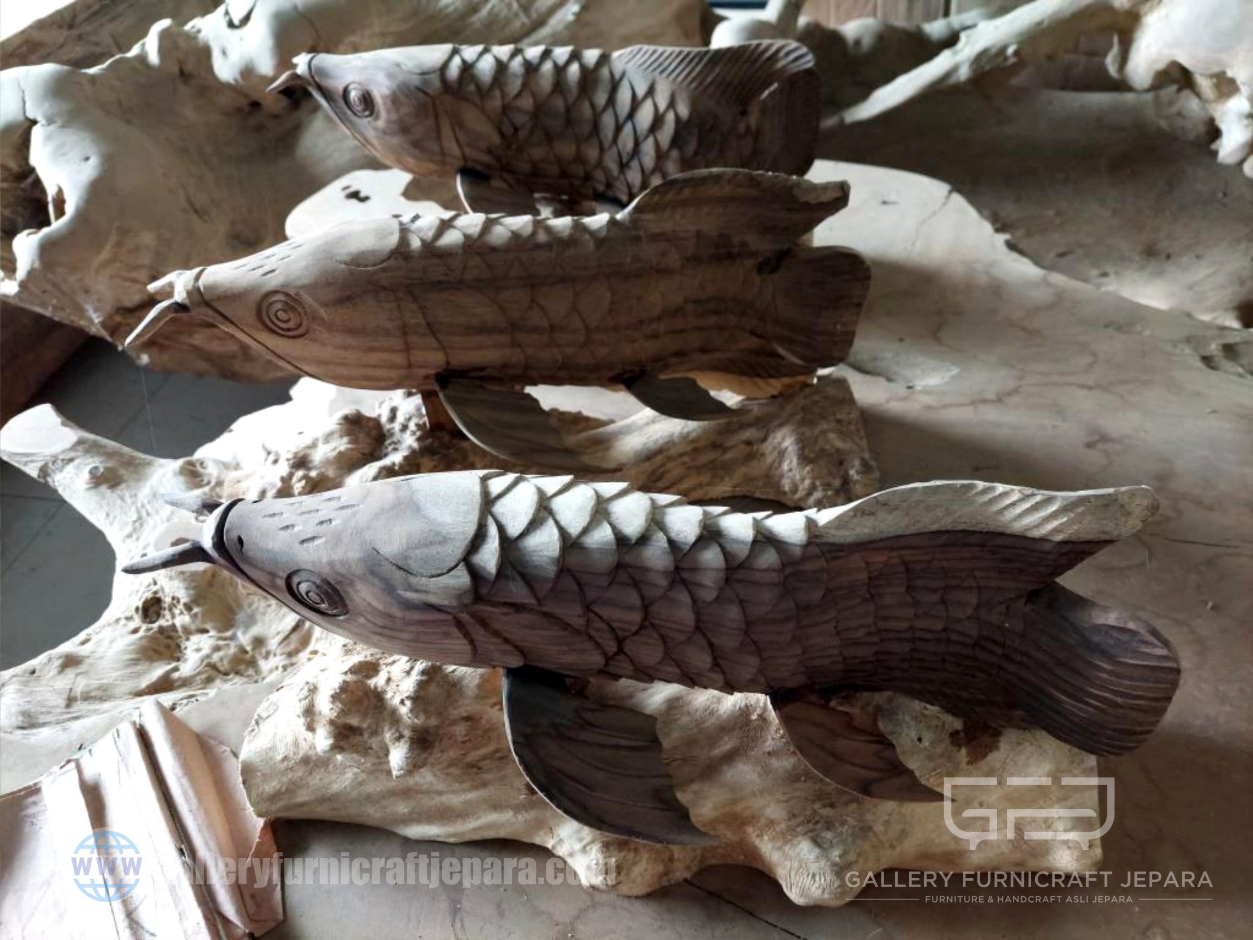 ikan arwana 40x20cm kayu sonokeling kopi @250